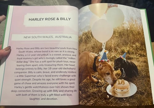 Customer photo review of Meet the Cutest Pets of Pupvote in the 2025 Photobook