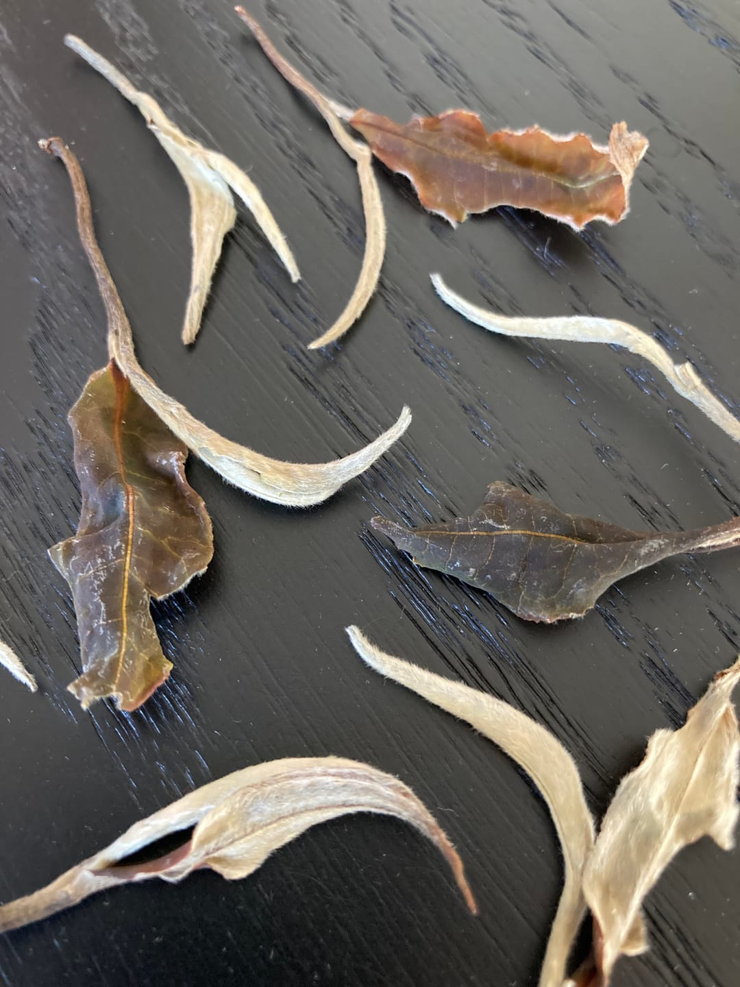 Customer photo review of 2025 Yue Guang Mei Ren White Tea