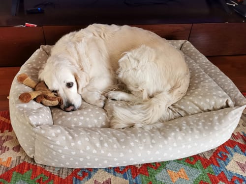 Customer photo review of Divanetto Cotone Panama Little Love Heart White