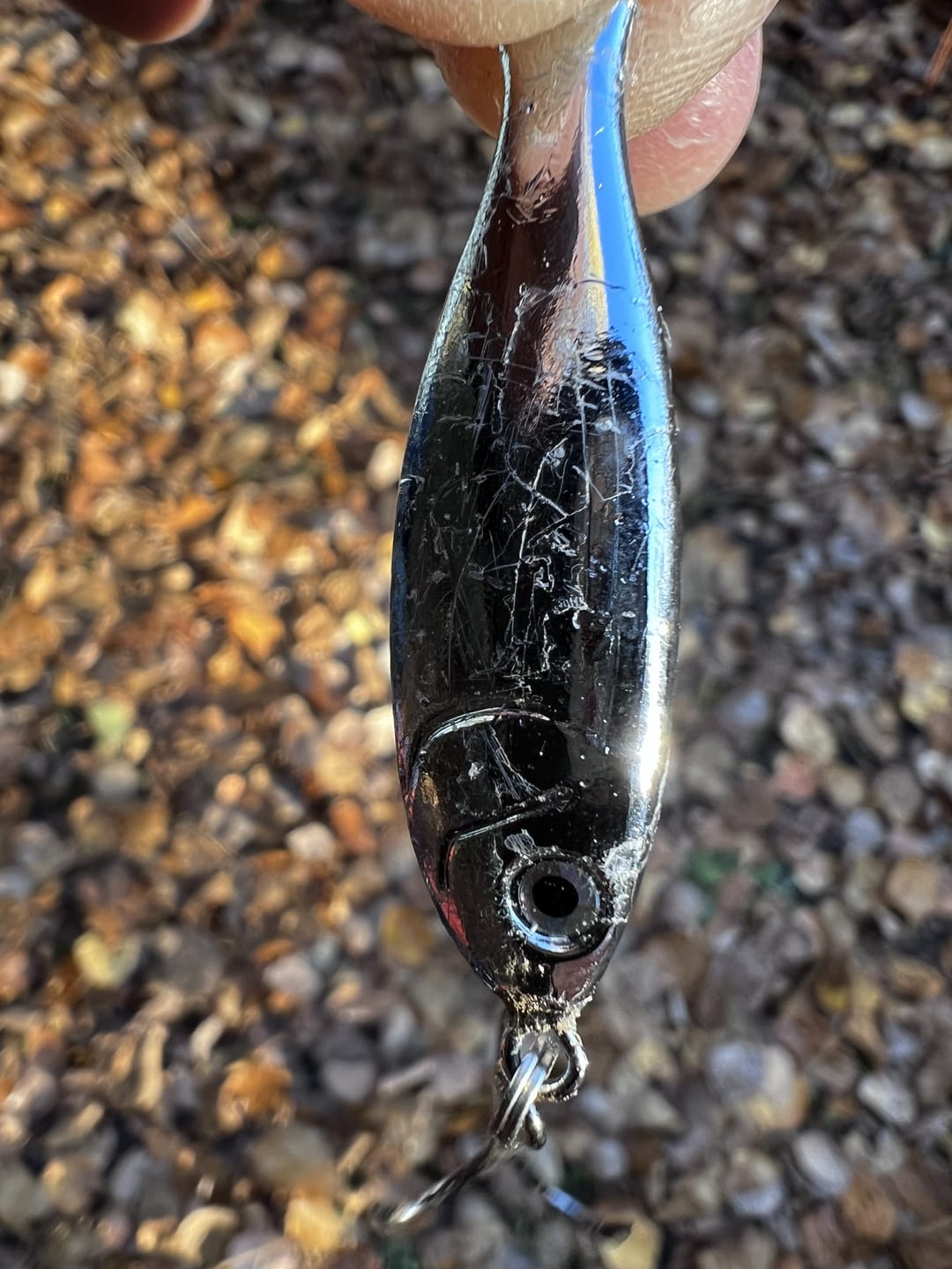 Customer photo review of Peanut Bunker STINGNOSE™ Jigging Spoons