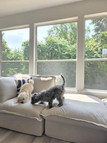 Customer photo review of Modular Luxe 4-Seater U-Sectional in Beige