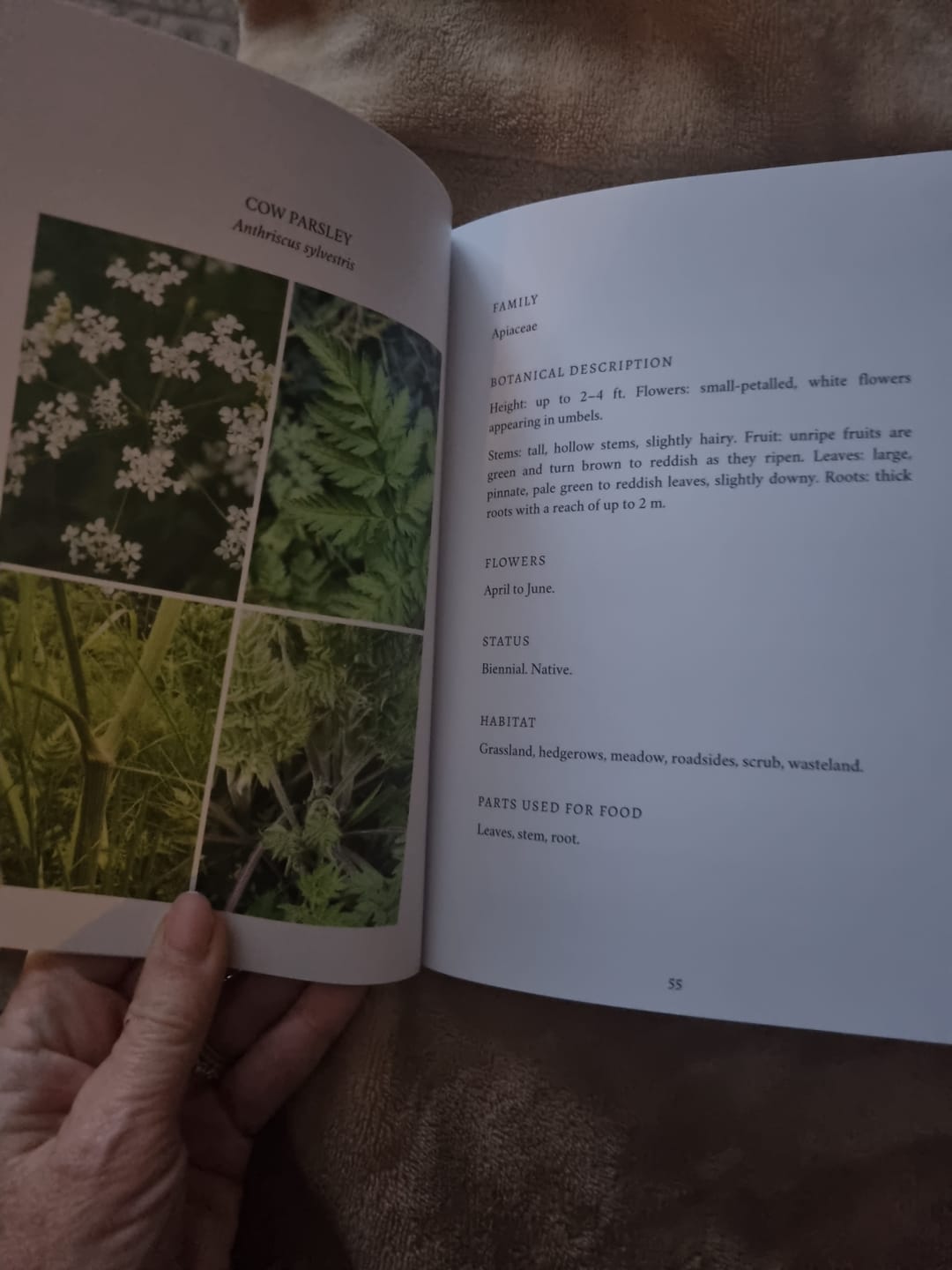Customer photo review of Edible and Medicinal Wild Plants of Britain and Ireland