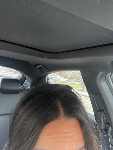 Customer photo review of Refurbished Day After™ Brush