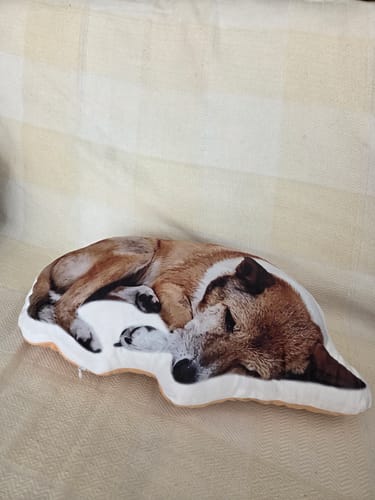 Customer photo review of 本物そっくり♪ペットクッション