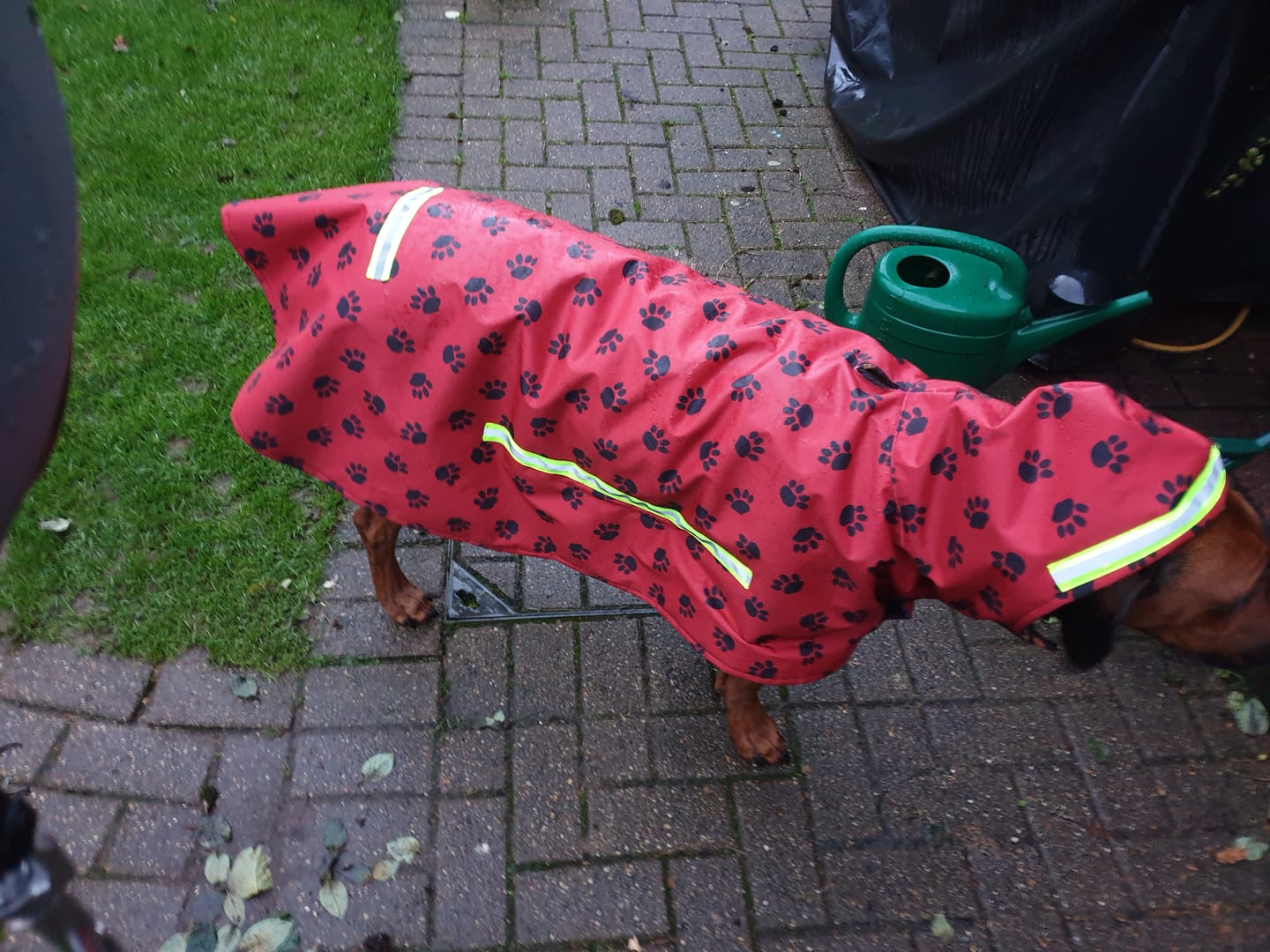 Customer photo review of Paw Print Heavy Duty Waterproof Fabric