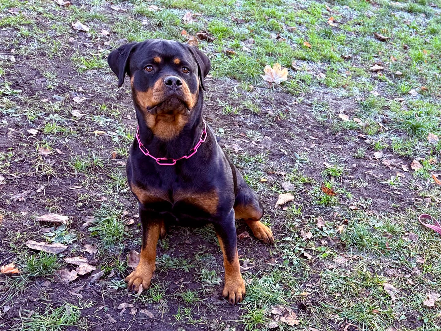 Customer photo review of Langgliedrige Eastside Chain