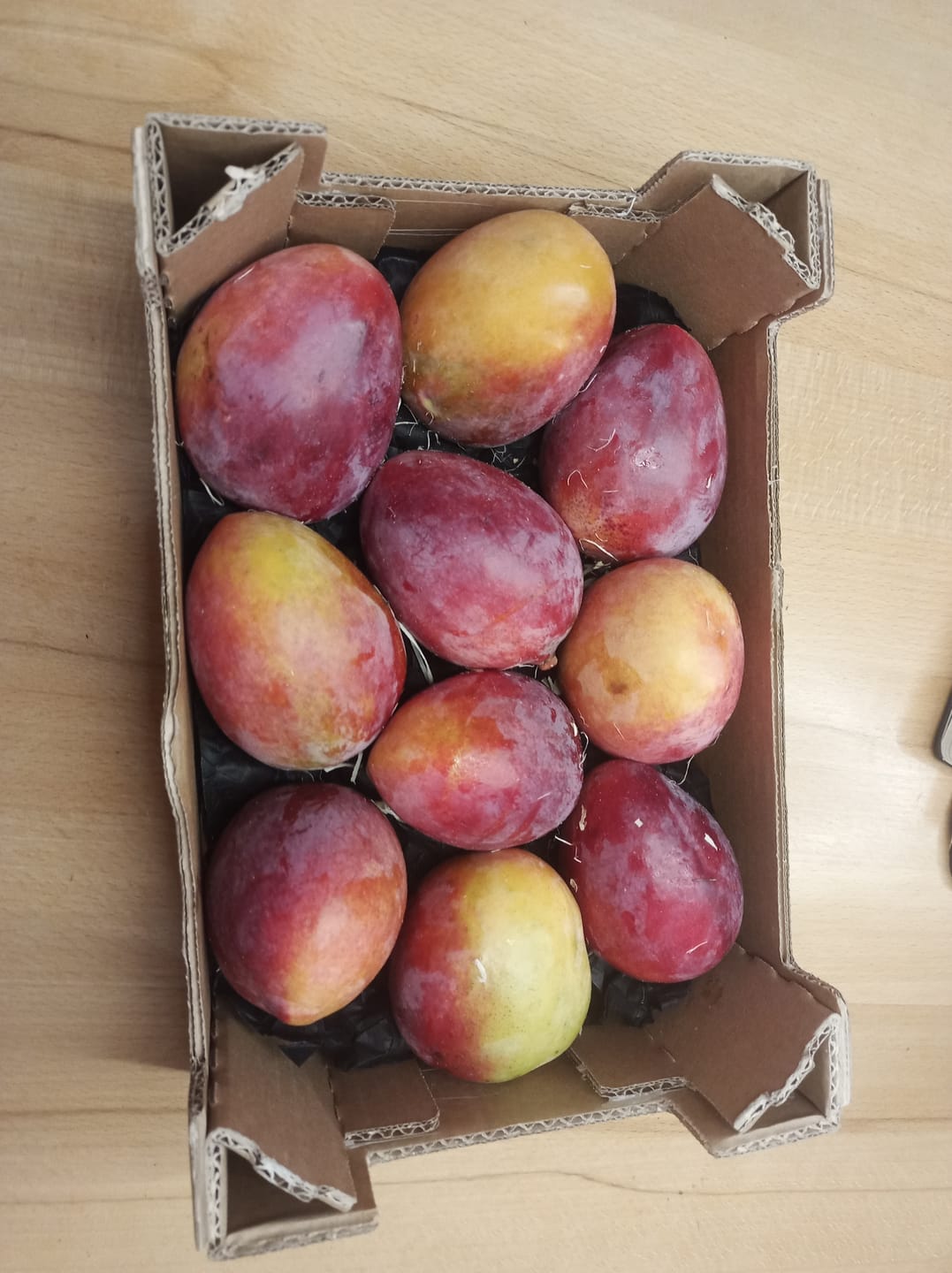 Customer photo review of Mango Sensacion Bio Spätsorte von Paco Sonderpreis %