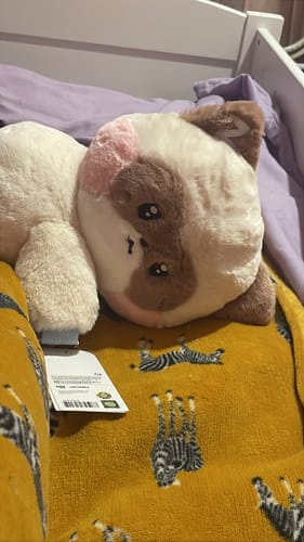 Customer photo review of Zeroni FLUFFY Wonderland POP-UP with Line Friends MD (Ready to Ship)