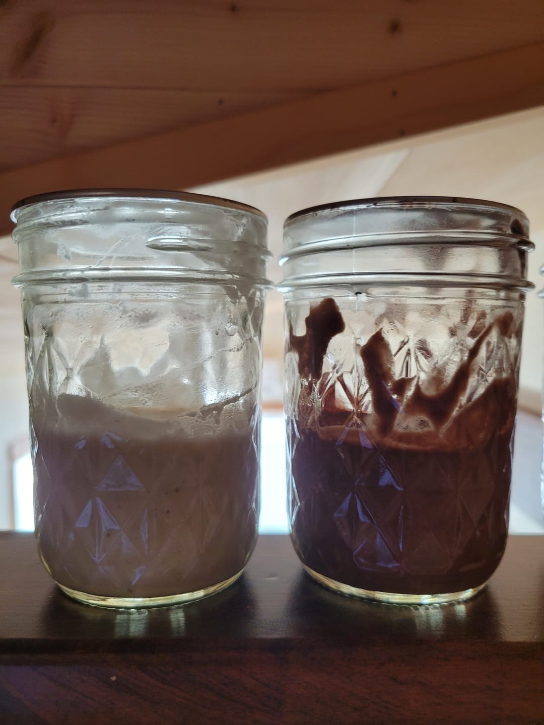 Customer photo review of Live 118 Year Old Valrhona CHOCOLATE Sourdough Starter Includes Maintenance PDF & Chocolate Noir Loaf Recipe