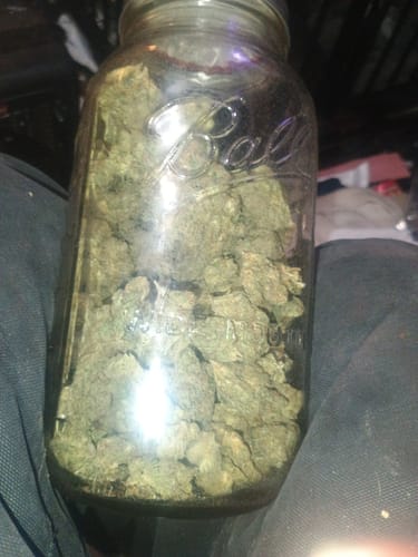 Customer photo review of Face Off OG - Bulk - Indica