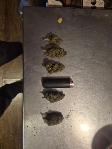 Customer photo review of Jager Sour Diesel - 28 Grams - Hybrid