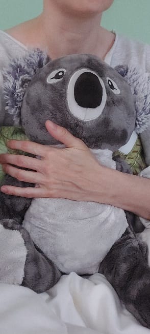 Customer photo review of Hugimals - קווין הקואלה בובת כובד מחבקת