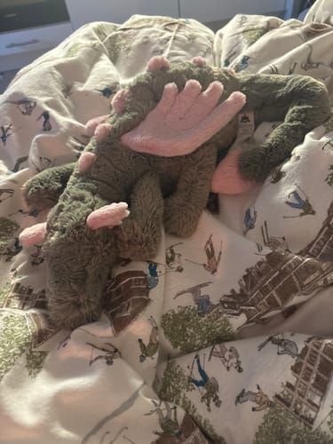 Customer photo review of Malachy Dragon | Jellycat