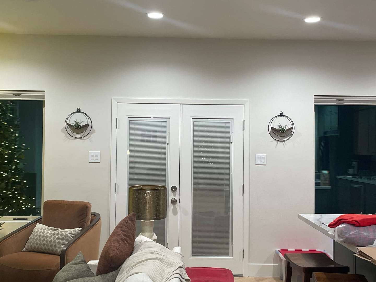 Customer photo review of Air Plant V-Hanger Duo