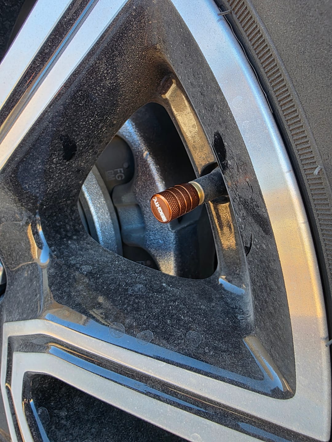 Customer photo review of 80Eighty® Bronze Valve Stem Caps