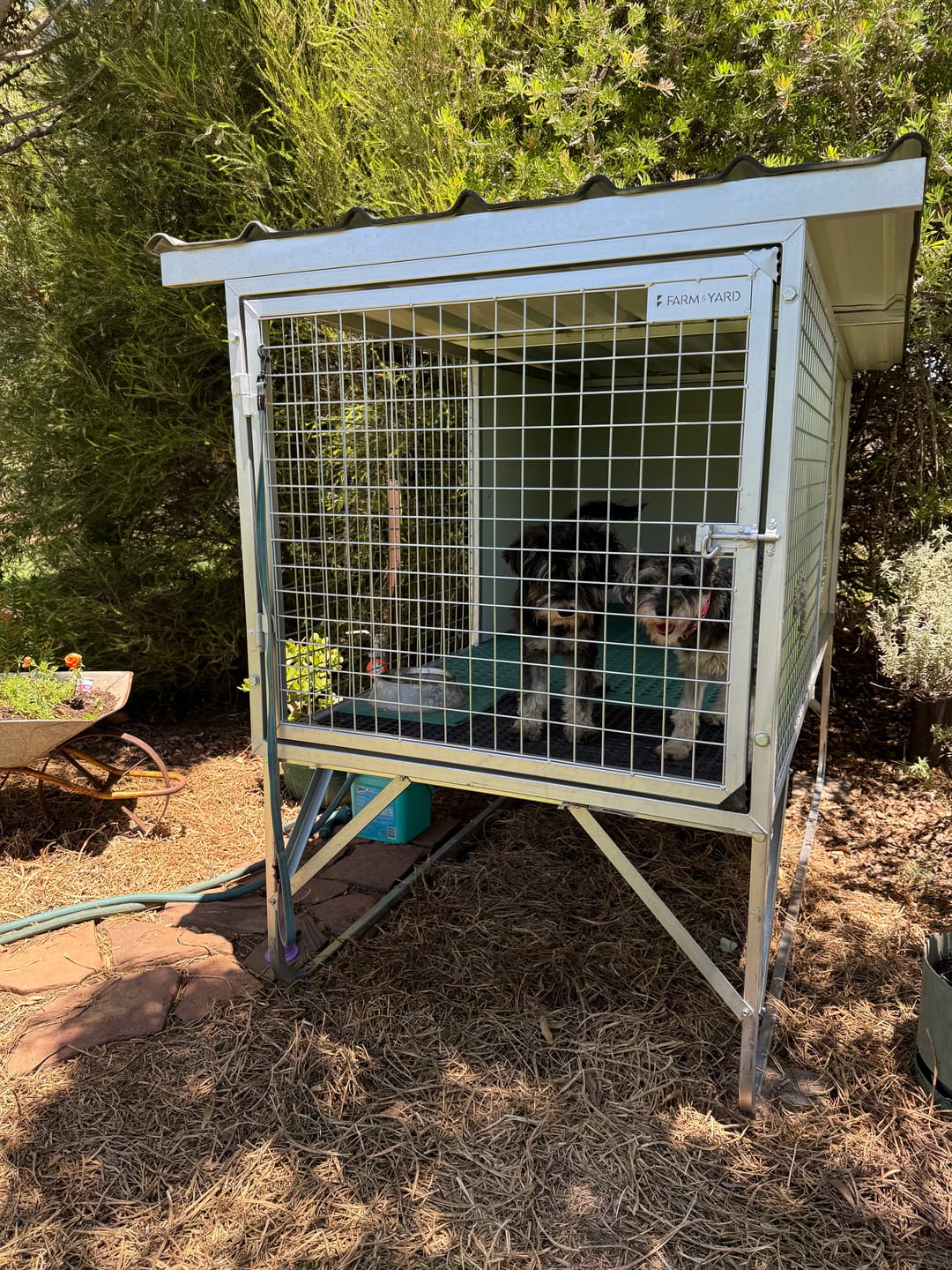 Customer photo review of Raised Safety Kennel