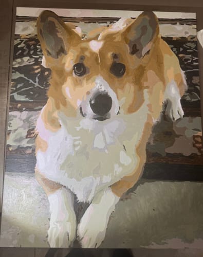 Customer photo review of Custom Pet Paint By Numbers