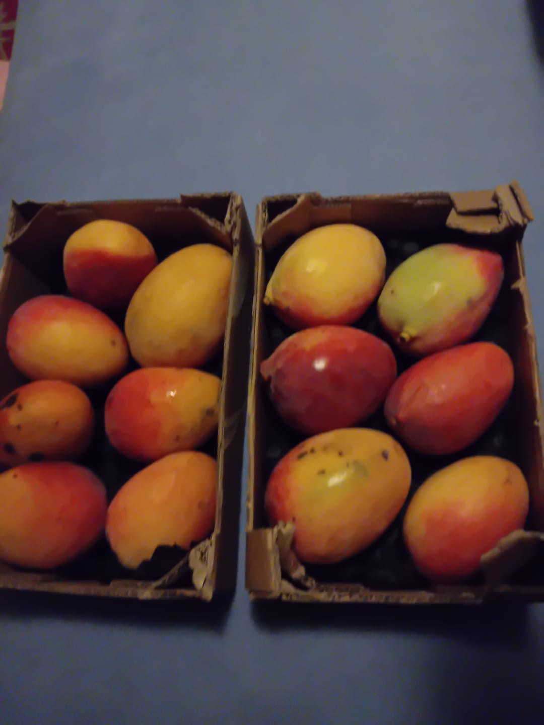 Customer photo review of Mango Sensacion Bio Spätsorte von Paco Sonderpreis %