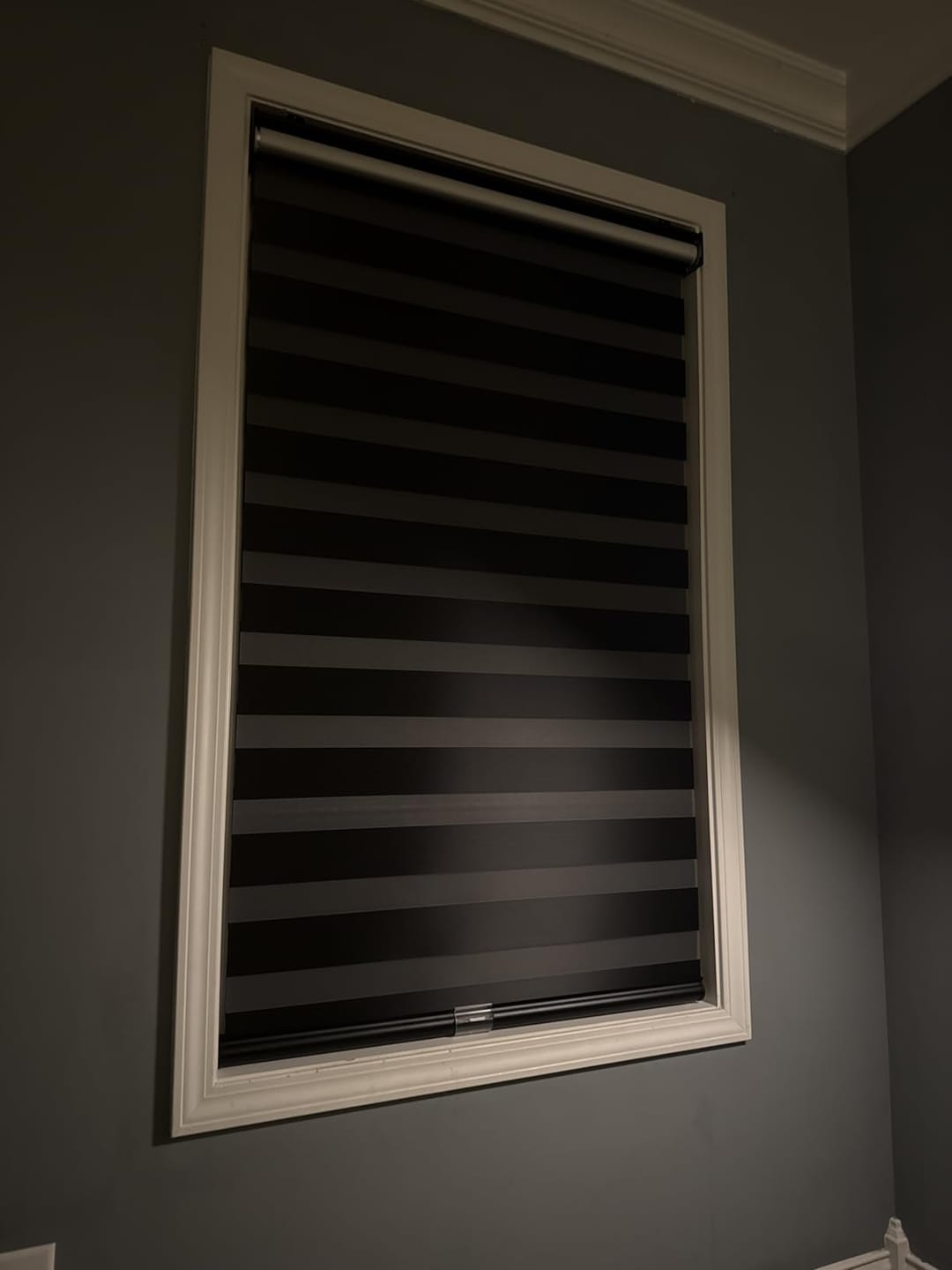 Customer photo review of Custom Dual Layer Zebra Shades