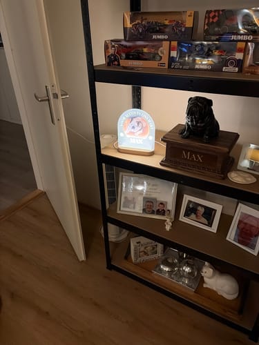 Beoordelaar toont de verlichte fotolamp op een plank naast andere herdenkingsartikelen.