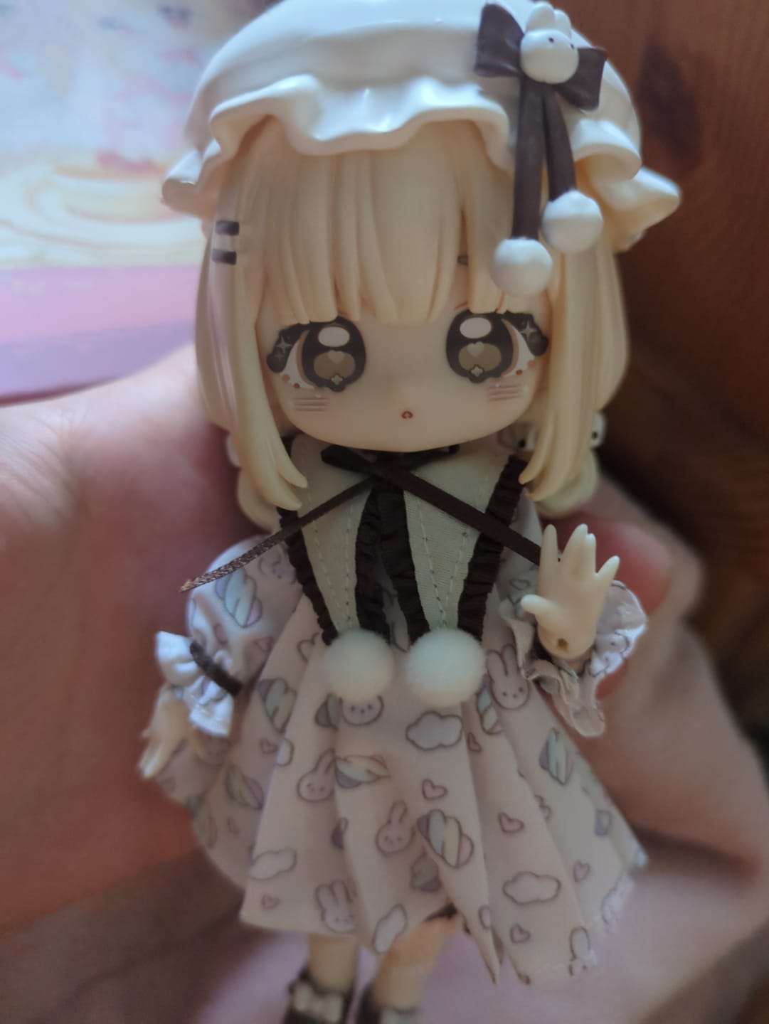 Customer photo review of Sugar 100% Series 1/12 Action Figure BJD Blind Box