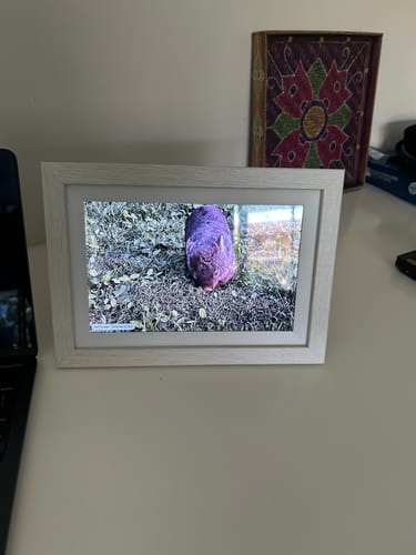 Customer photo review of Digital Photo Frame