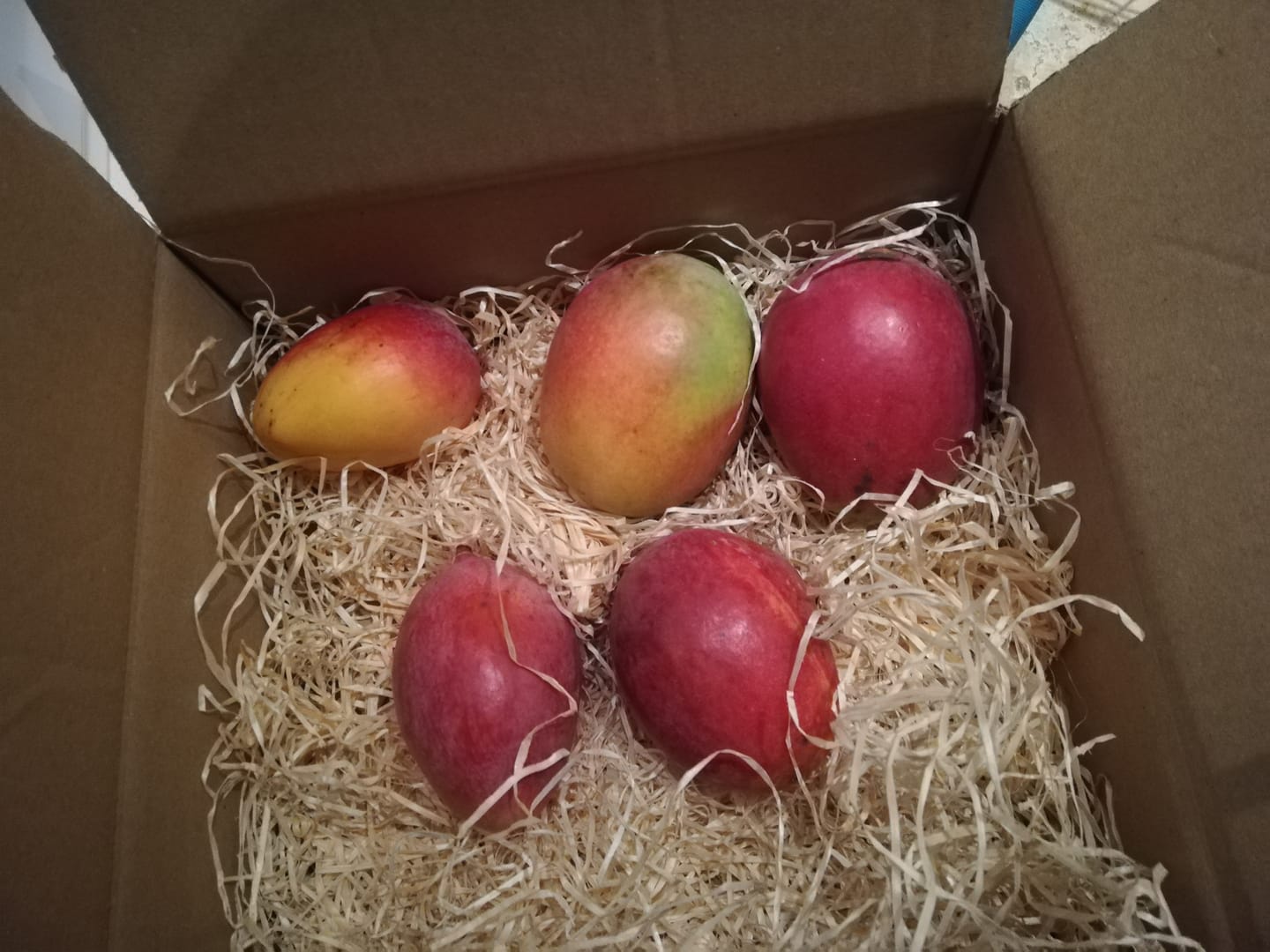 Customer photo review of Mango Sensacion Bio Spätsorte von Paco Sonderpreis %