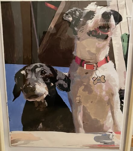 Customer photo review of Custom Pet Paint By Numbers