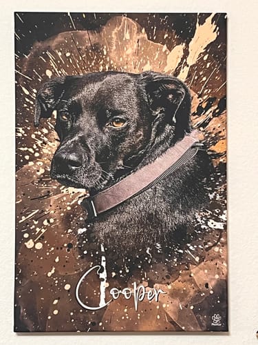 Customer photo review of Graffiti Pawtrait