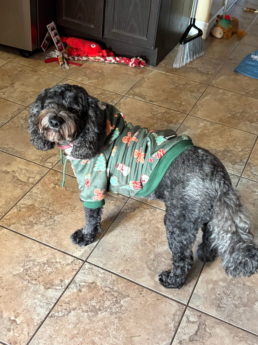 Customer photo review of Christmas Dog Hoodies