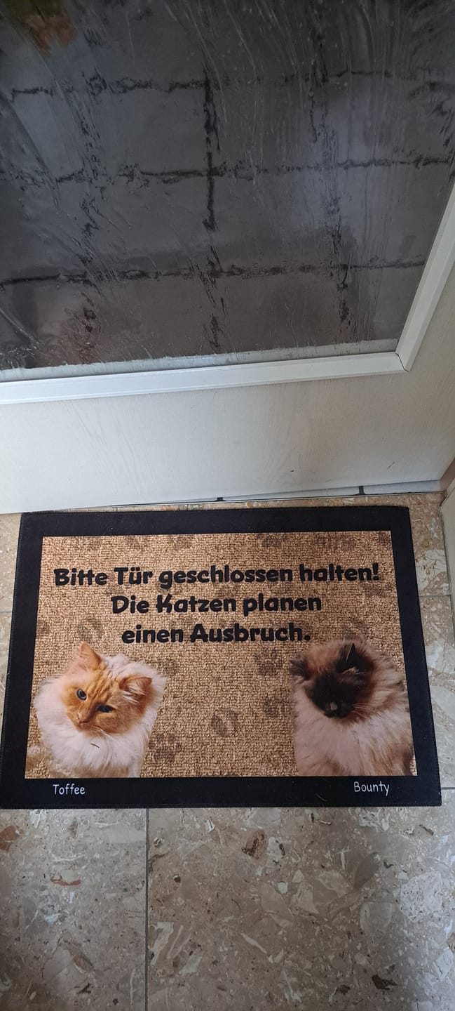 Customer photo review of Katzen planen einen Ausbruch - Individuelle Fußmatte