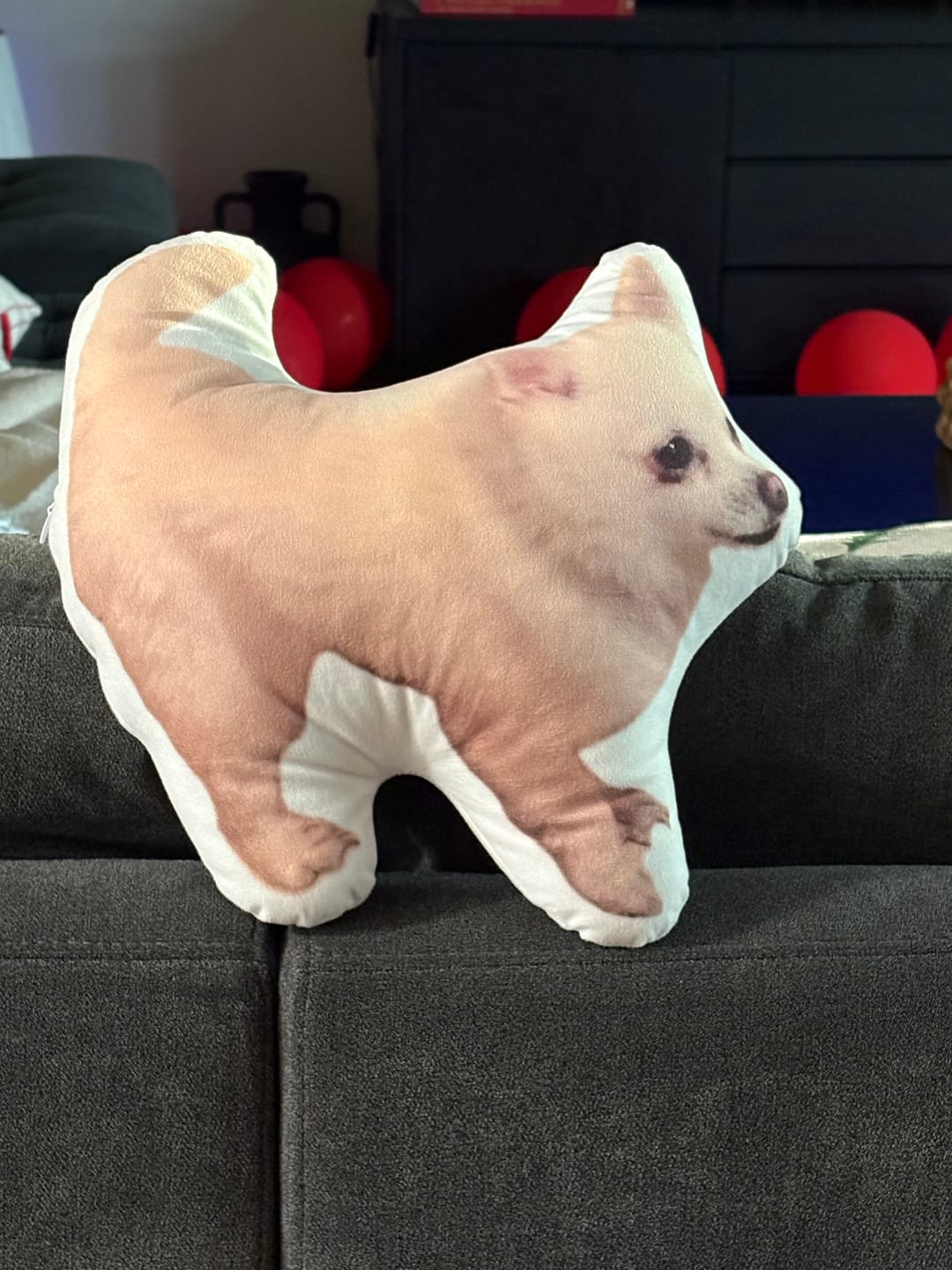 Customer photo review of Pet Pillow Looks Like Your Pet, Customize Dog Shaped Pillow with Pet Photo - ThePetPillow