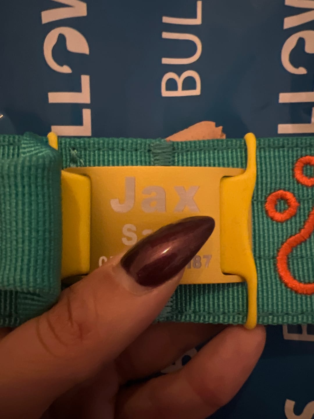 Customer photo review of Dog ID Attachment Tag (8 Colour Choices)