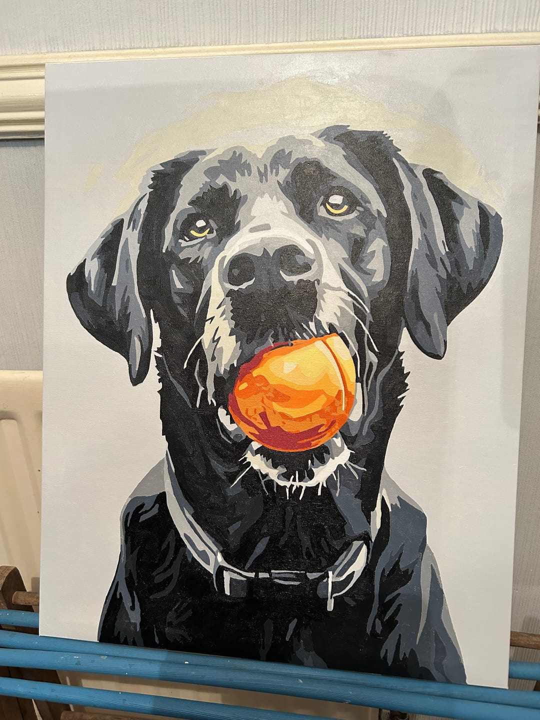 Customer photo review of Play Time