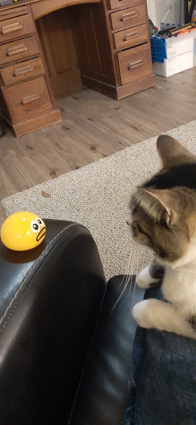 Customer photo review of Puking Ball®