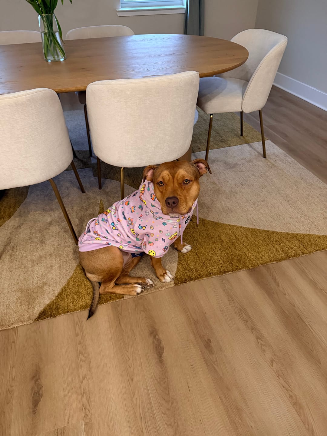 Customer photo review of Good Vibes Dog Hoodie - Purple