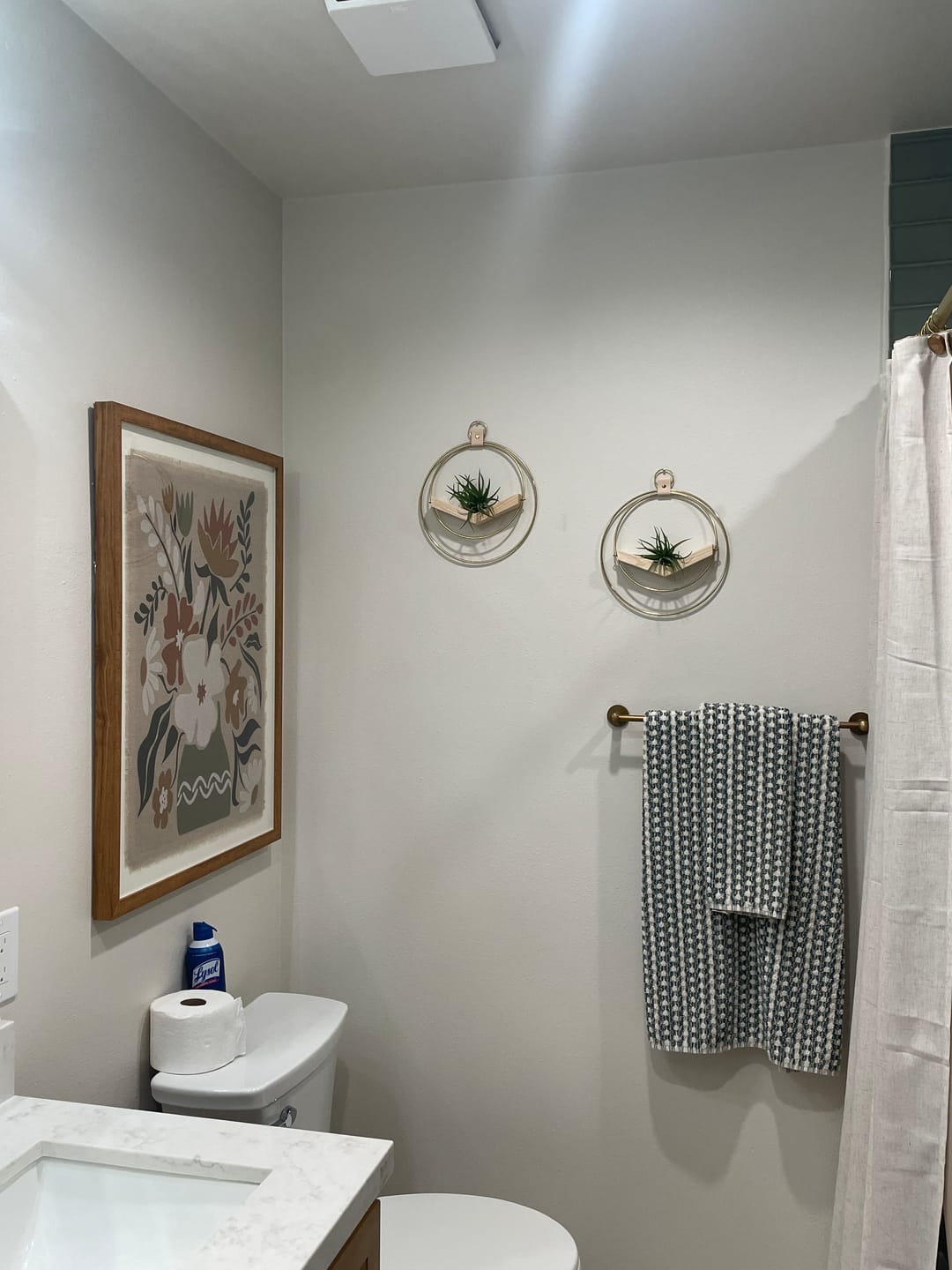 Customer photo review of Air Plant V-Hanger Trio