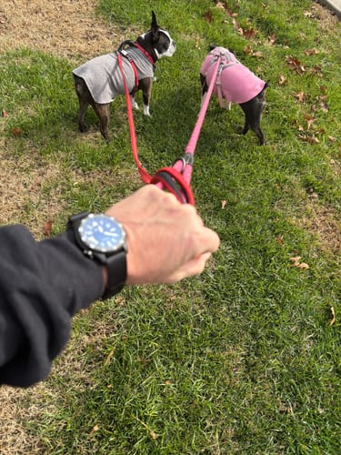 Customer photo review of KINETIC II