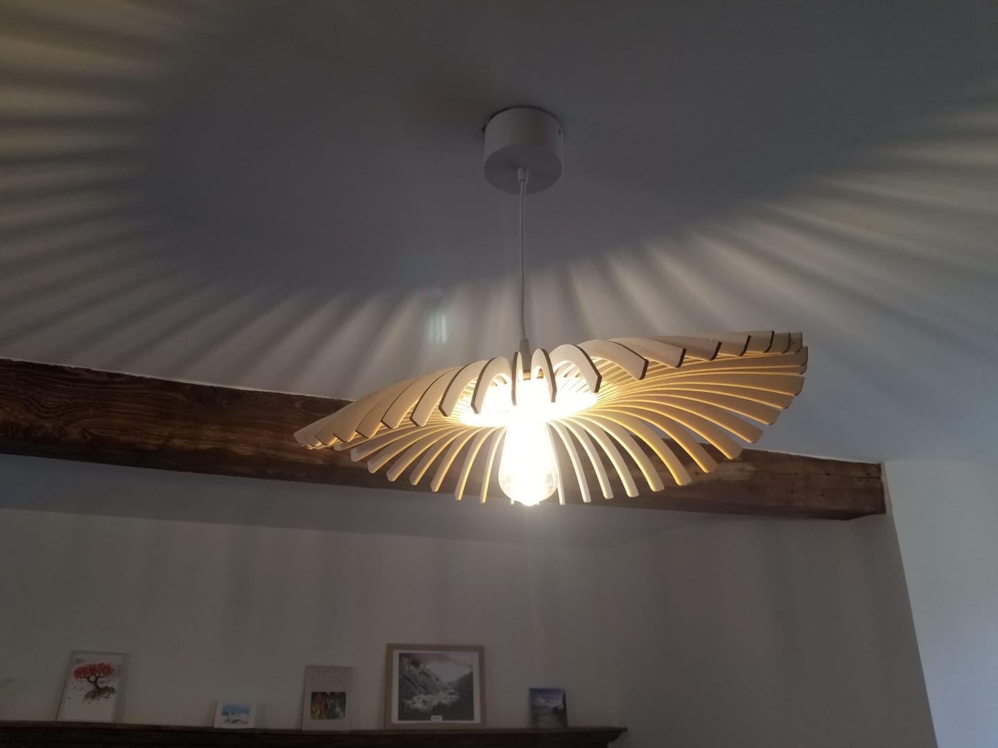 Customer photo review of Cygne | Suspension