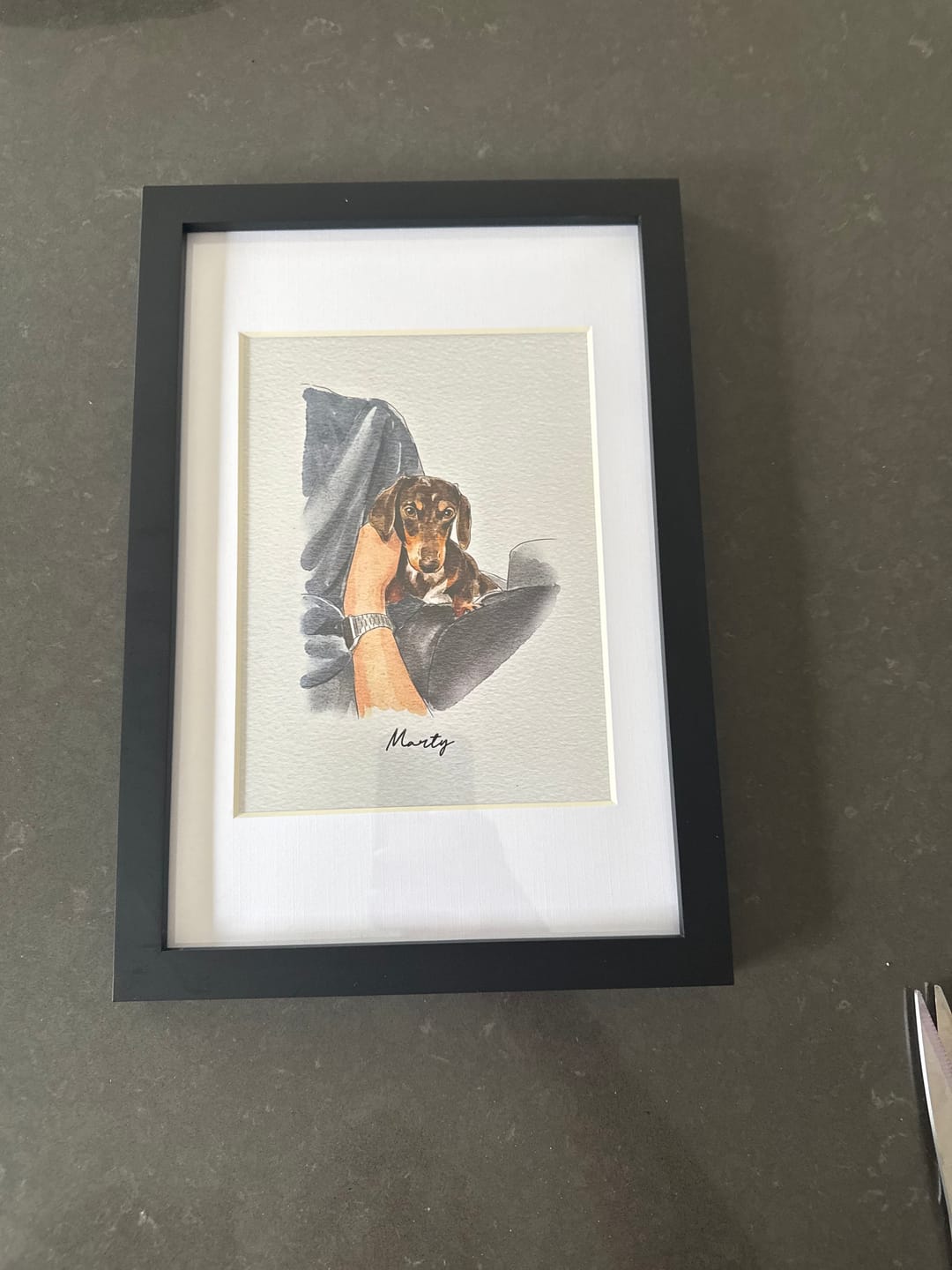 Customer photo review of Minimal Hand Drawn Watercolor Pet Portraits