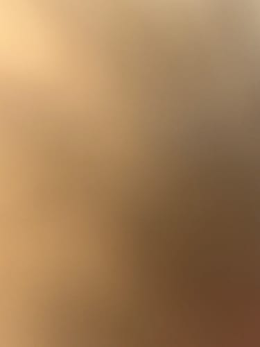 Reviewer's blurry, out-of-focus image.