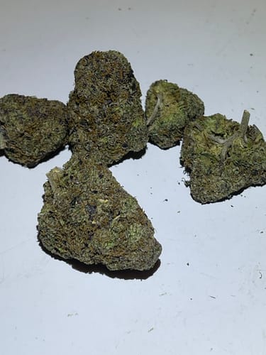 Customer's dense, green Donny Burger buds on a white surface.