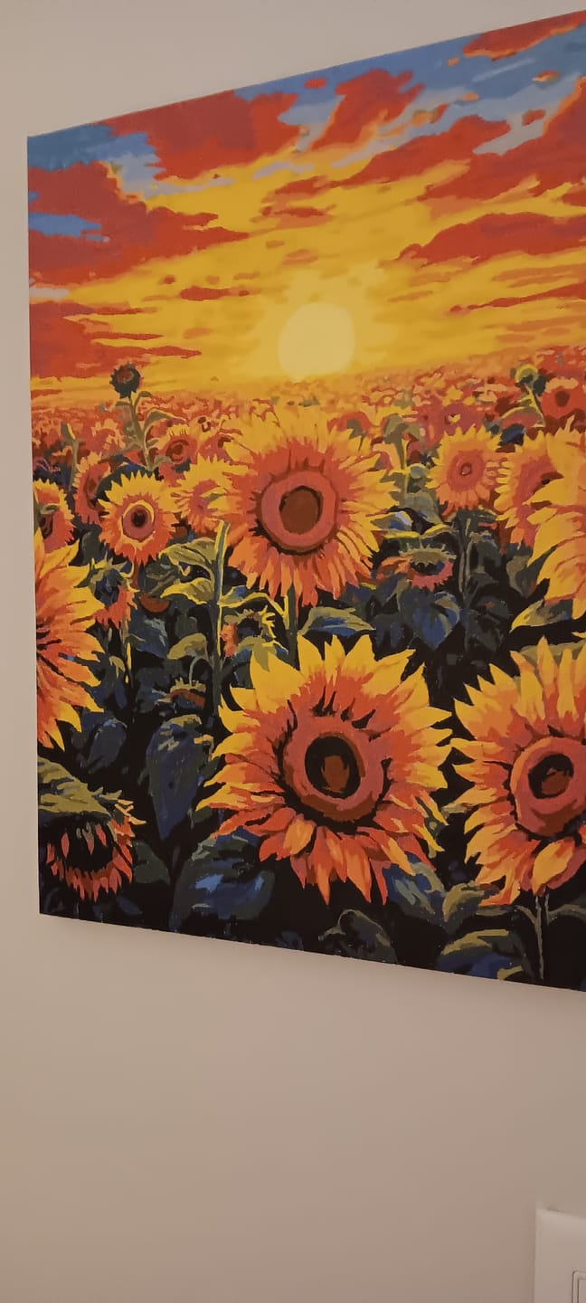 Customer photo review of Sunflower Dusk