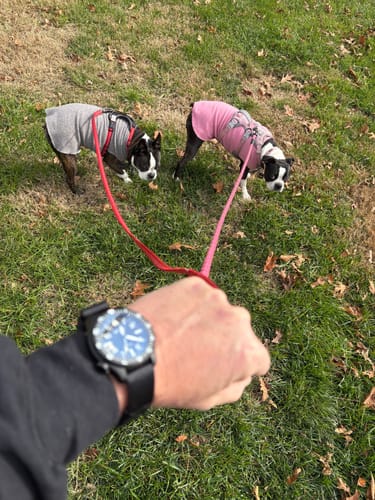 Customer photo review of KINETIC II