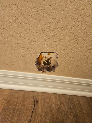 Customer photo review of Toilet Mouse Hole Decal