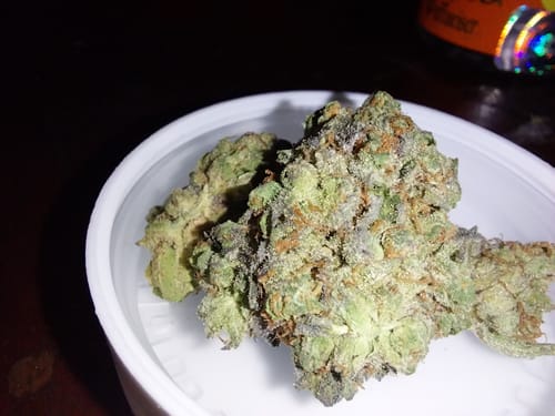 Customer photo review of Cereal Milk Flower