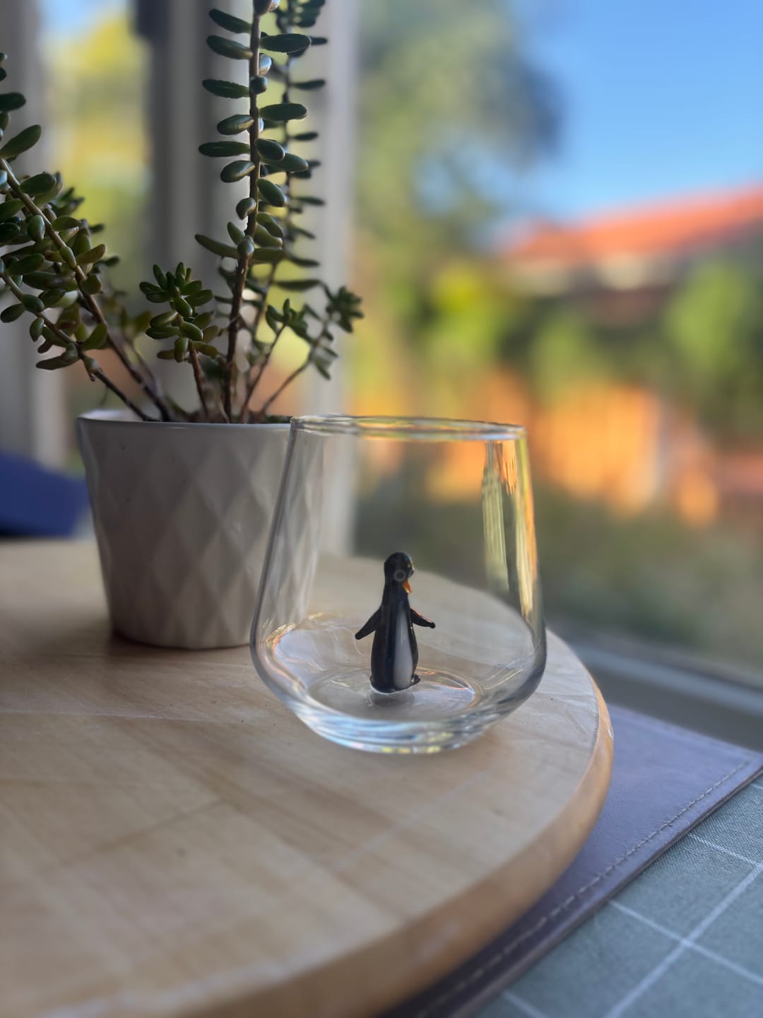 Customer photo review of Penguin Glass