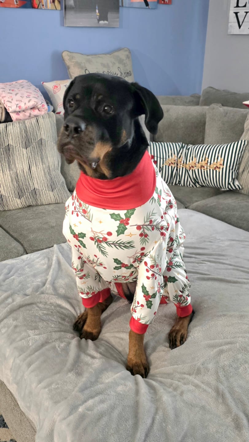 Customer photo review of Christmas Pajama Pants - Mistletoe