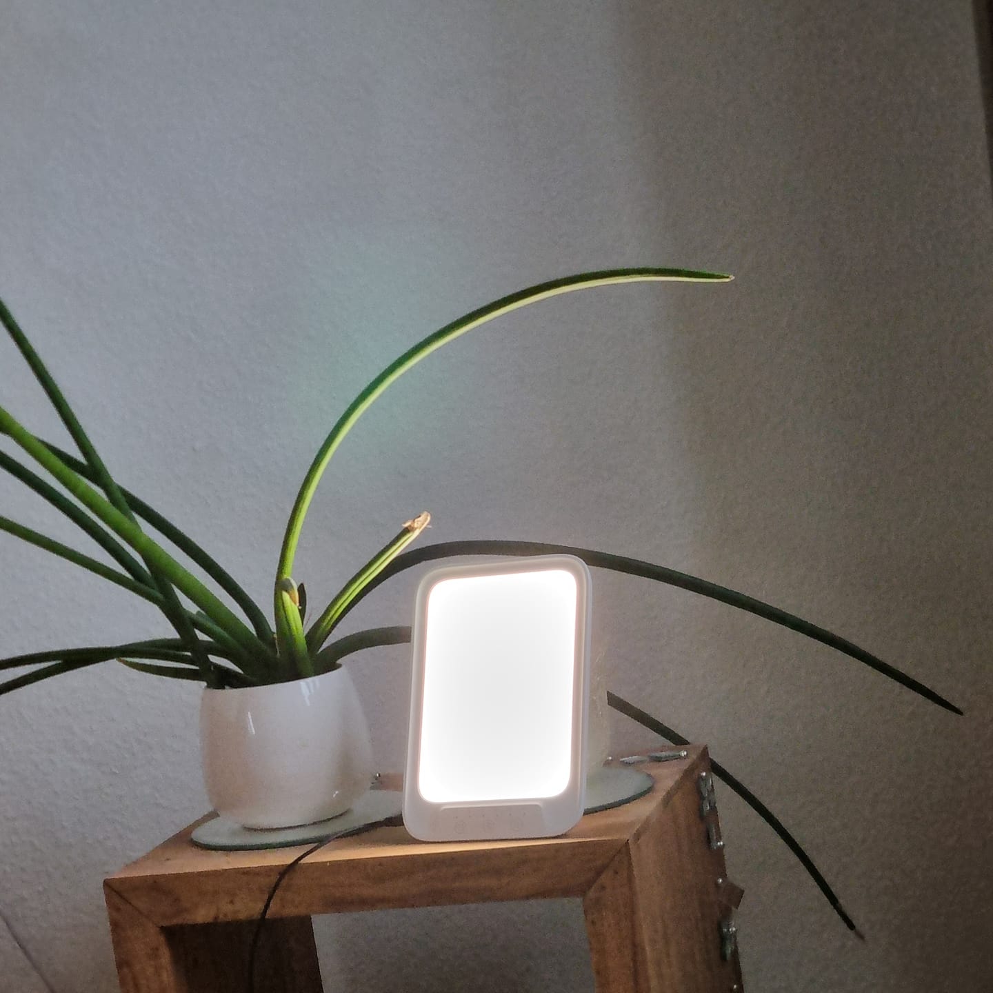 Customer photo review of NordiLight
