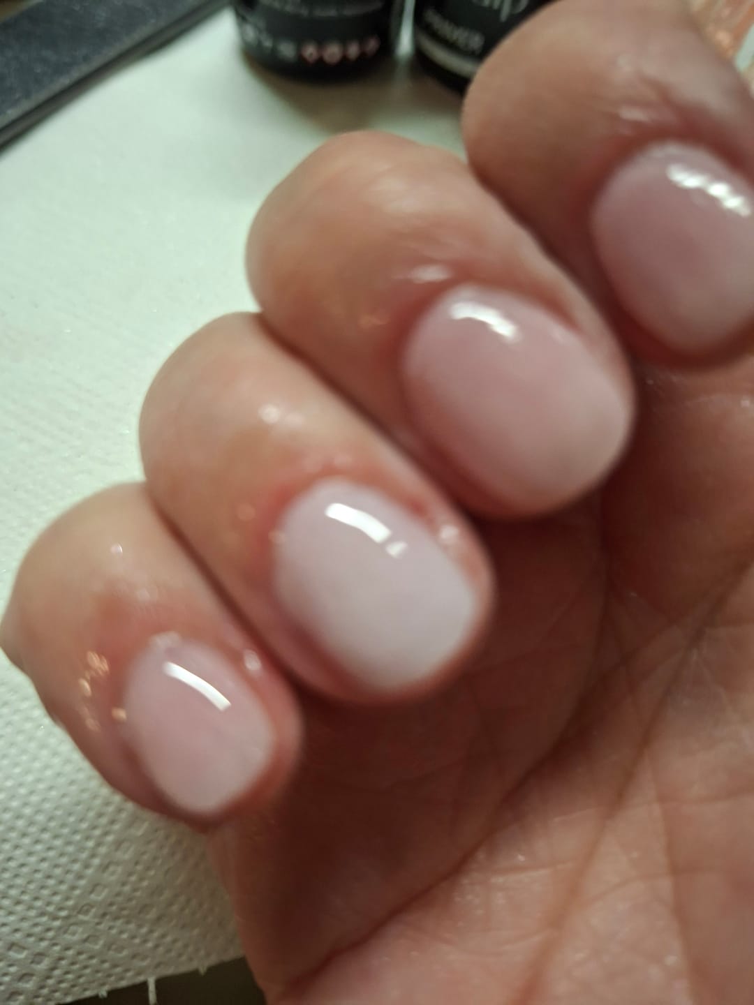 Customer photo review of Primer